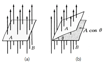 fig6-8